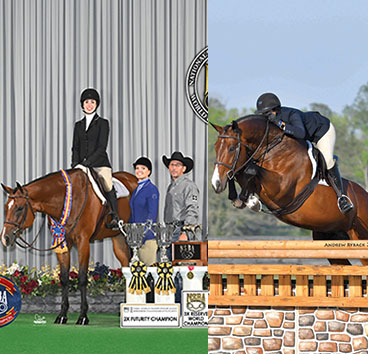 NSBA Announces Hunter Jumper, Show Horse Of The Year
